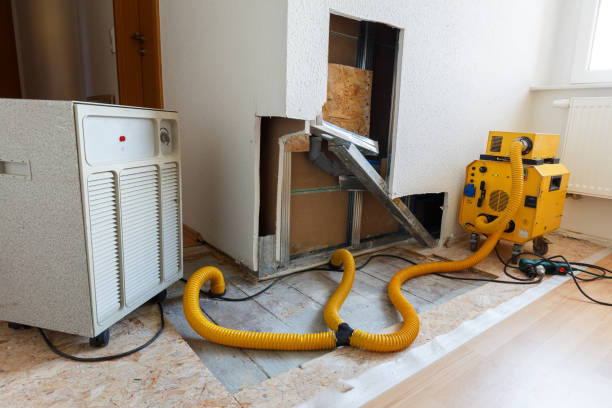Best Environmental Consulting for Mold Prevention  in Jacobus, PA